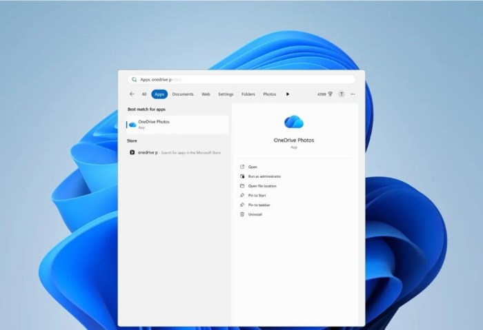 Windows 11