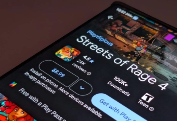 Google Play Store