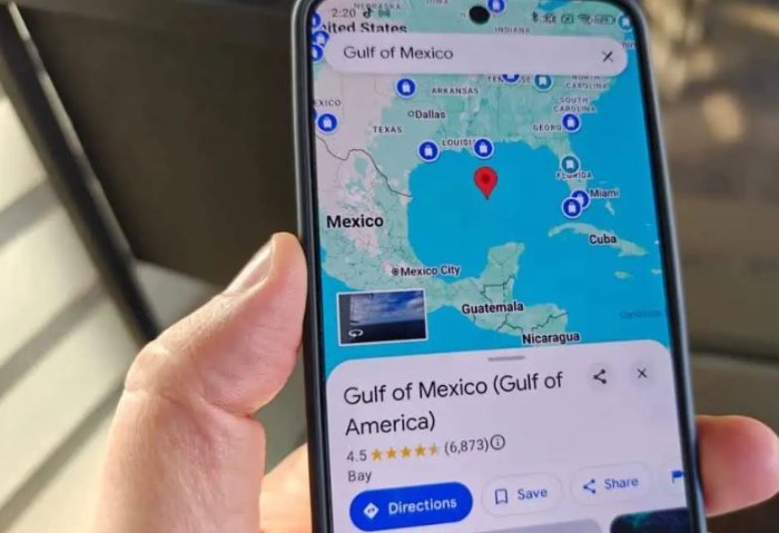 Google Maps