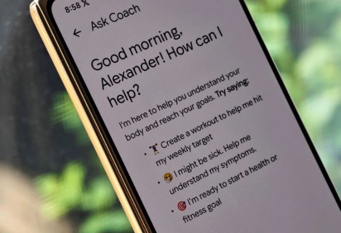 Google Health