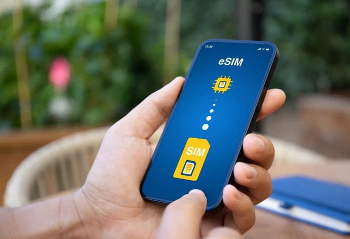 eSIM