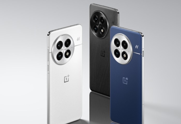 OnePlus 13  