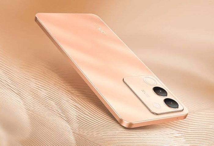 Vivo V29e