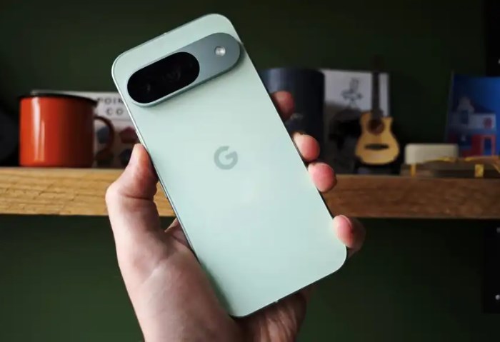 Google Pixel 9