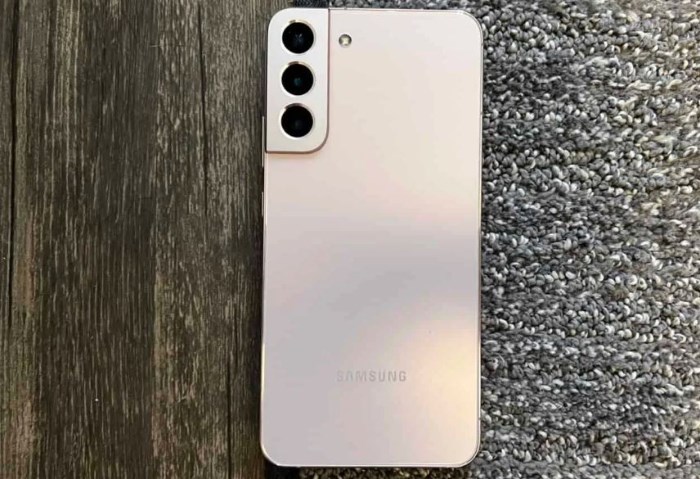 Galaxy S22 
