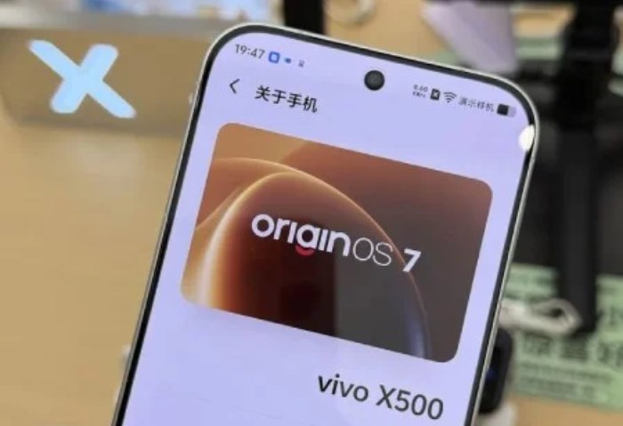 Vivo X500