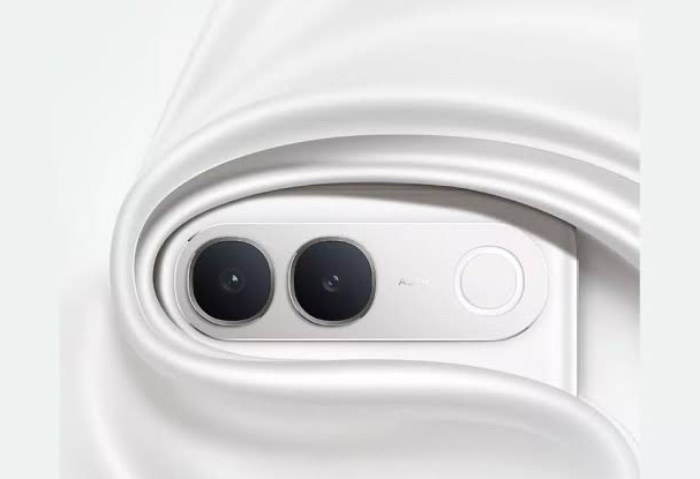 Vivo S2 FE