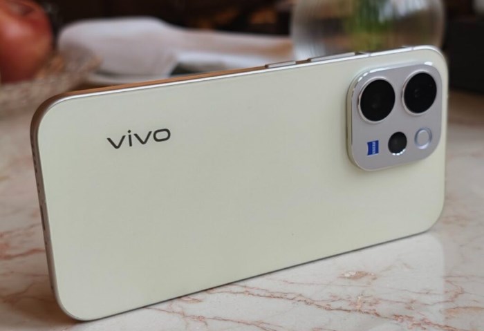 Vivo V80