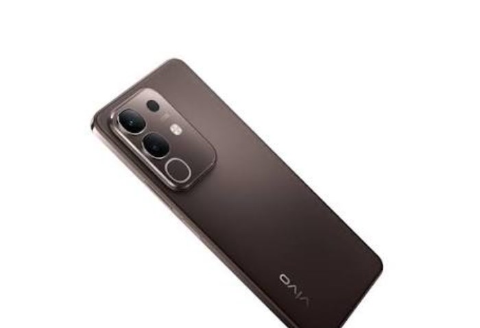 vivo Y29