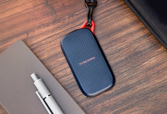 SanDisk E31 SSD