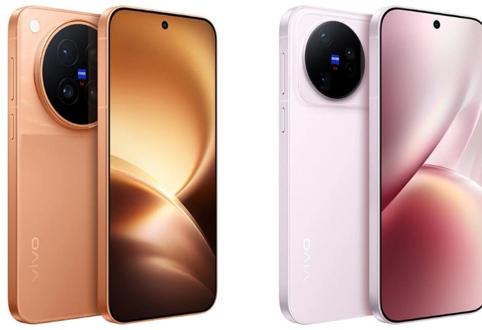 Vivo X500