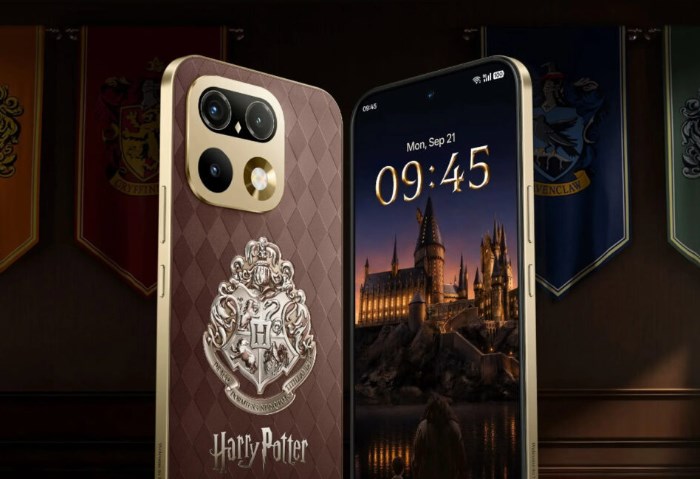 Harry Potter-Themed Makeover