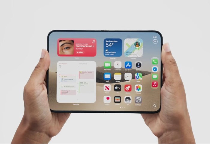 iPhone Duo