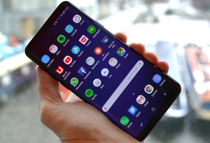 Samsung Galaxy S9+