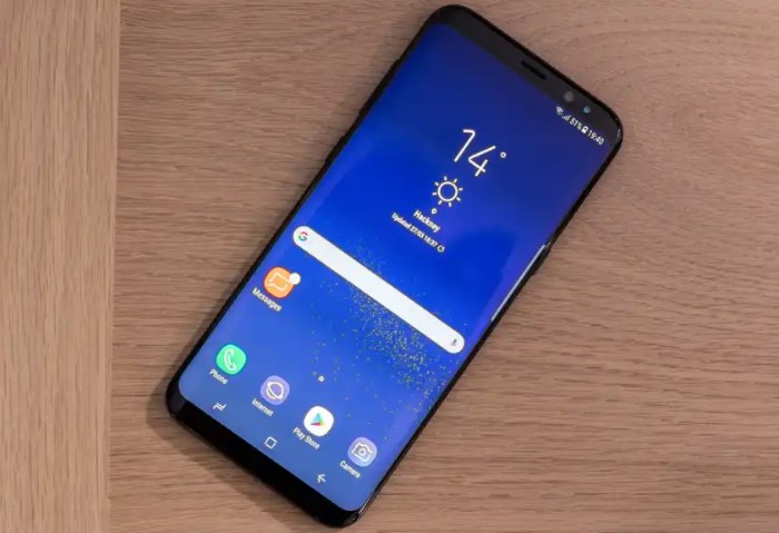 Samsung Galaxy S8+
