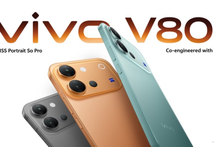 Vivo V80