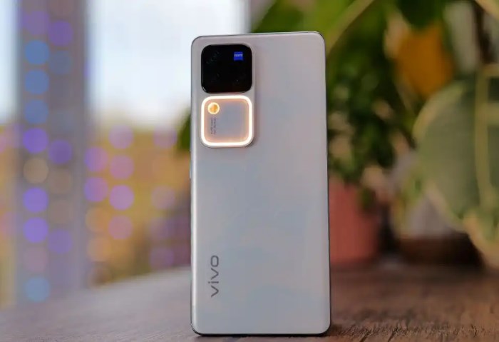 vivo V30 Pro
