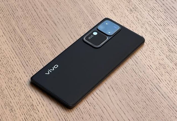 vivo V30