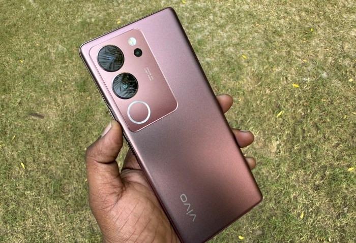vivo V29