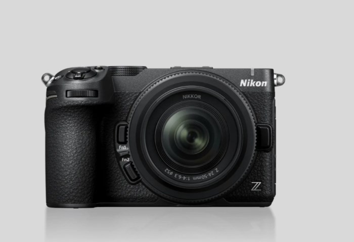 Nikon Z5IIC