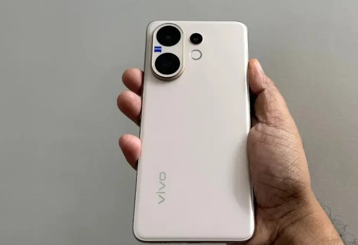 vivo V60