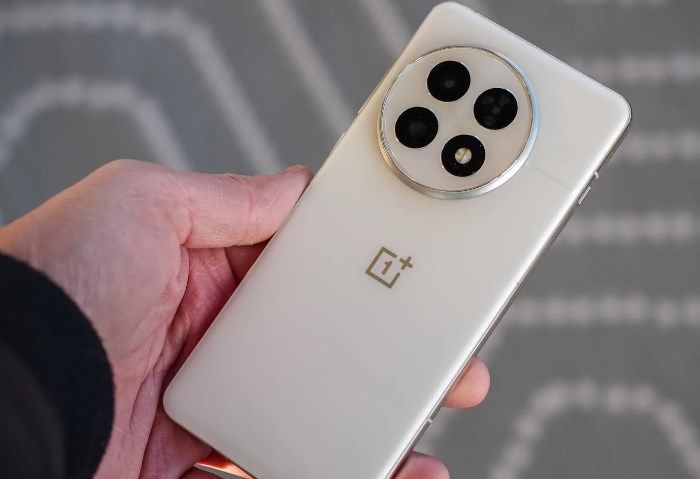 OnePlus 13