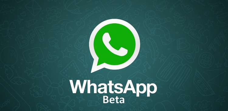 WhatsApp Beta" يحصل علي دعم "ردود الفعل السريعة" في الإصدار الجديد - Mobile News